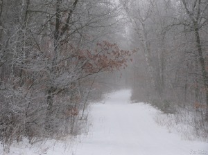 Beautiful-snow-fog-on-the-back-road