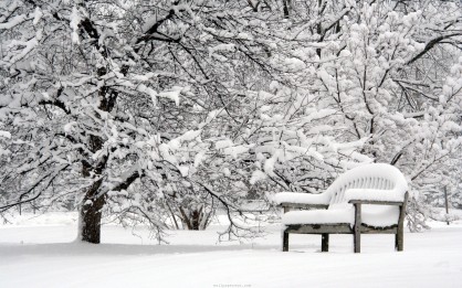 beautiful-winter-beautiful-bench-lovely-nature-pretty-snow-winter